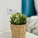 Apartman Centrico Con Parking Privado Vigo
