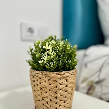 Appartement Céntrico Con Parking Privado Vigo
